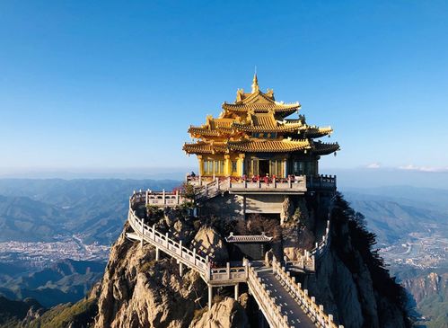 云看萬(wàn)張圖不如實(shí)地觀(guān)賞一朵牡丹花