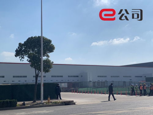 實探特斯拉上海工廠 半小時拉走36輛model 3